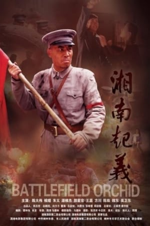 Poster Battlefield Orchid (2012)