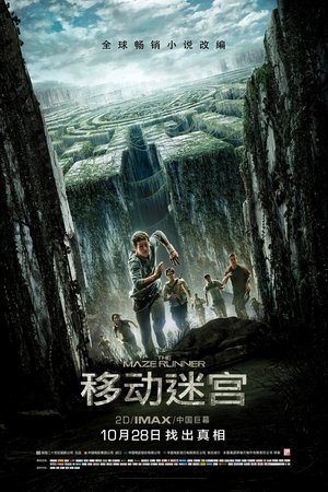 poster The Maze Runner