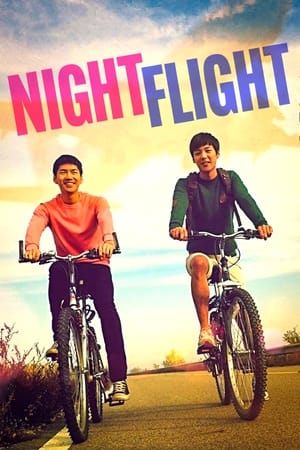 Poster Night Flight 2014