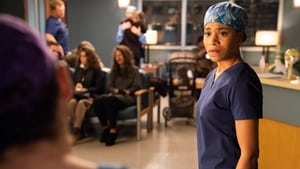 Grey’s Anatomy 15 x Episodio 14