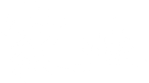 Ảnh 41