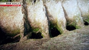 Journeys in Japan: 13×25