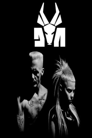 Poster Die Antwoord at Lollapalooza 2016 2016