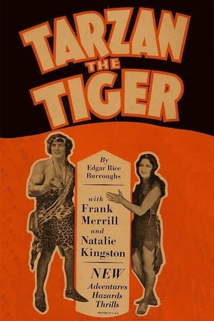 Tarzan the Tiger poster