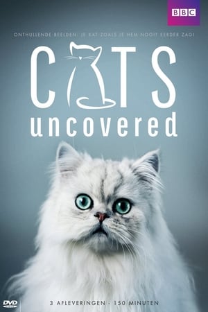 Cats Uncovered poster