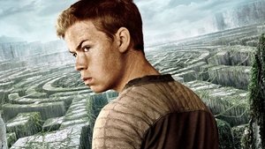 The Maze Runner