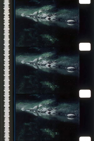 Rivers of Darkness / Rivers of Light