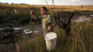 Into the Okavango