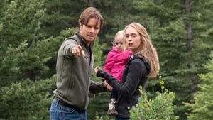 Heartland: 12×4