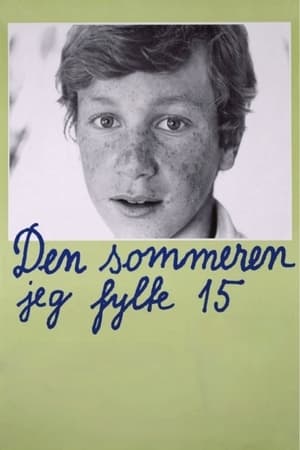 Poster 15岁的夏天 1976