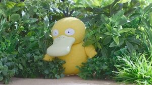 Beau travail, Psykokwak