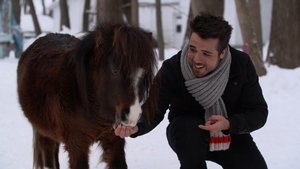 Cochon dingue: 1×38