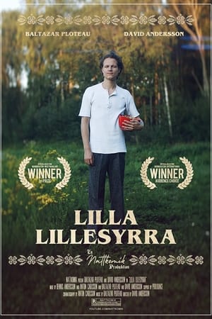 Poster Lilla Lillesyrra 2019