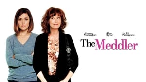 The Meddler (2015)