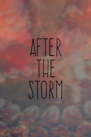 Poster After the Storm (2017)