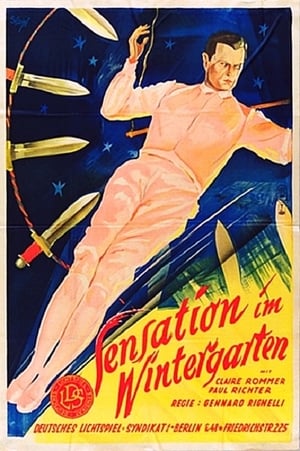 Poster Sensation im Wintergarten (1929)