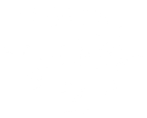 Ảnh 155
