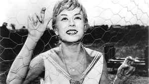 Những Đêm Ở Cabiria - Nights Of Cabiria (1957)