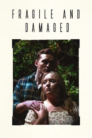Poster Fragile and Damaged (2023)