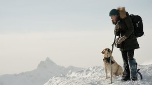 The Mountain Between Us (2017)