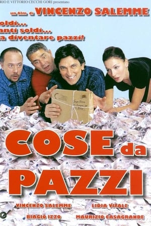 Poster Cose da pazzi 2005