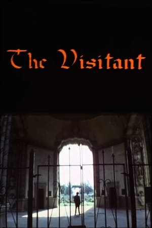 Poster The Visitant 1981