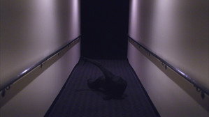 Exit Only still 4