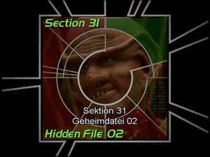 Image Section 31: Hidden File 02 (S07)