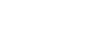 세상의 중심에서 사랑을 외치다
