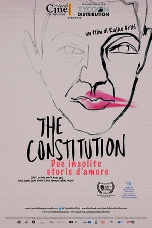 Poster The Constitution - Due insolite storie d'amore 2016