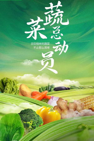 蔬菜总动员