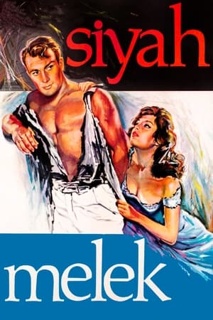 Poster Siyah Melek 1961