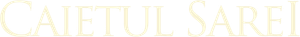 Sara's Notebook — Logos 1