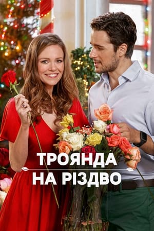 Poster Троянда на Різдво 2017