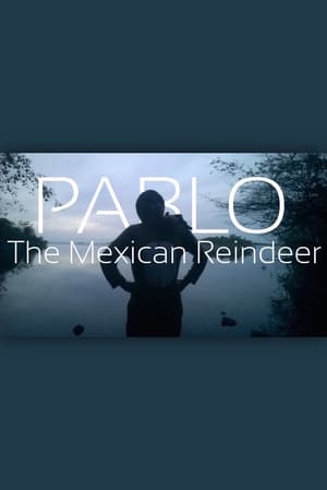 Image Pablo The Mexican Reindeer