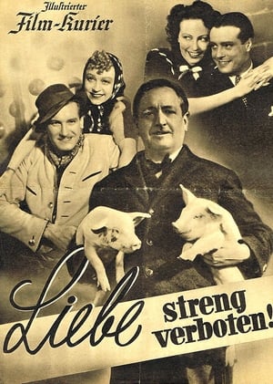 Poster Liebe streng verboten 1939