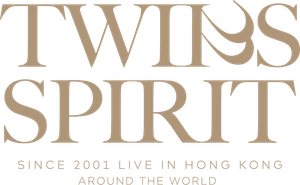 Twins SPIRIT Since 2001 Live 2024