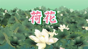 Episode 5 | StreamHub