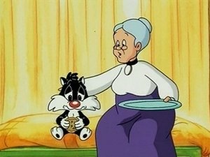 Baby Looney Tunes: 1×47