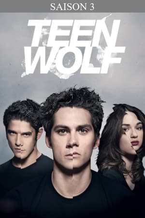 Teen Wolf: Saison 3
