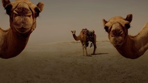 A Train to Qatar (2022)
