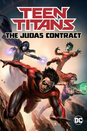 Teen Titans The Judas Contract 2017 1080p BRRip H264 AAC-RBG