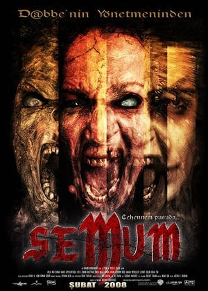 Poster Semum 2008