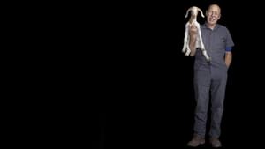 Clínica Animal com Dr. Pol