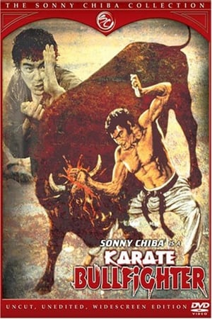 Karate Bullfighter poster