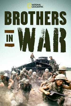 Poster Brothers in War (2014)