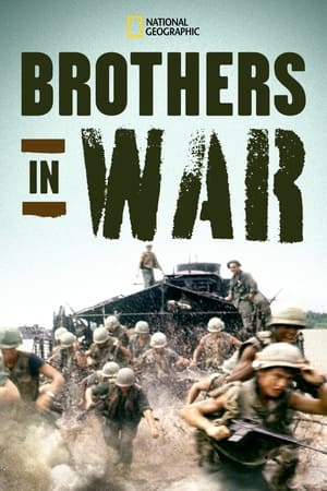 Poster Brothers in War 2014