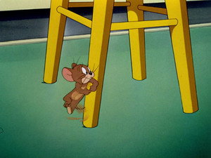 36. Bölüm