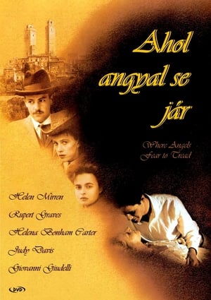 Poster Ahol angyal se jár 1991