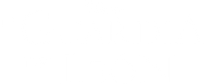 A Guarda do Leão — Logos 11